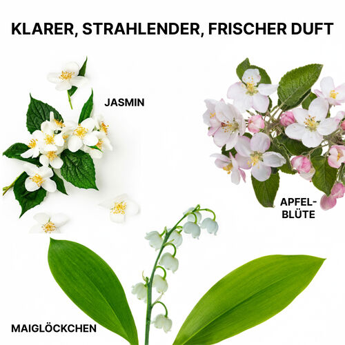 Insta-Wow Fortschrittliches Trockenshampoo - Shampoo & Conditioner | L'Or&eacute;al Partner Shop