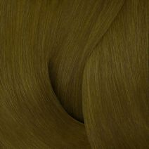 Color Gels 5GB Truffle - 𝘾𝙊𝙇𝙊𝙍𝘼𝙏𝙄𝙊𝙉 | L'Oréal Partner Shop