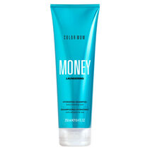 Money Laundering Hydrating Shampoo - Shampoo & Conditioner | L'Or&eacute;al Partner Shop