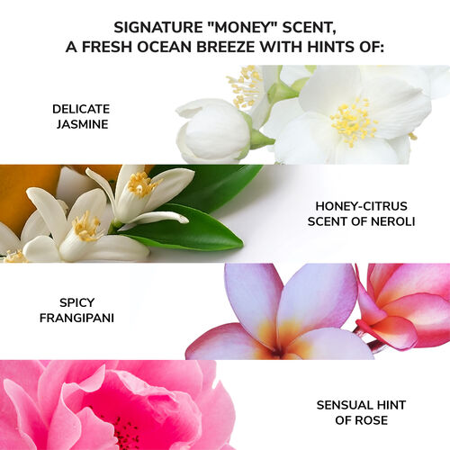 Money Laundering Hydrating Shampoo - Shampoo & Conditioner | L'Or&eacute;al Partner Shop