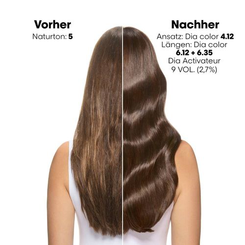 6 Dunkelblond Dia color - Dia color | L'Or&eacute;al Partner Shop