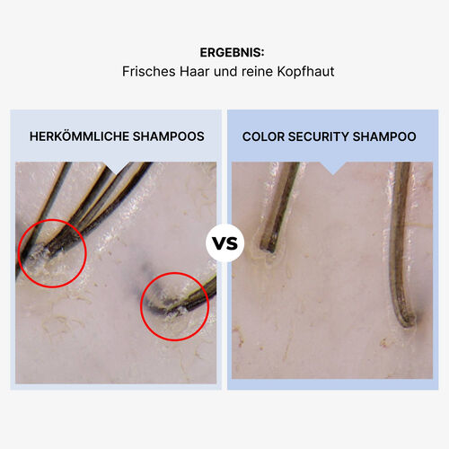 Color Security Shampoo - Shampoo & Conditioner | L'Or&eacute;al Partner Shop